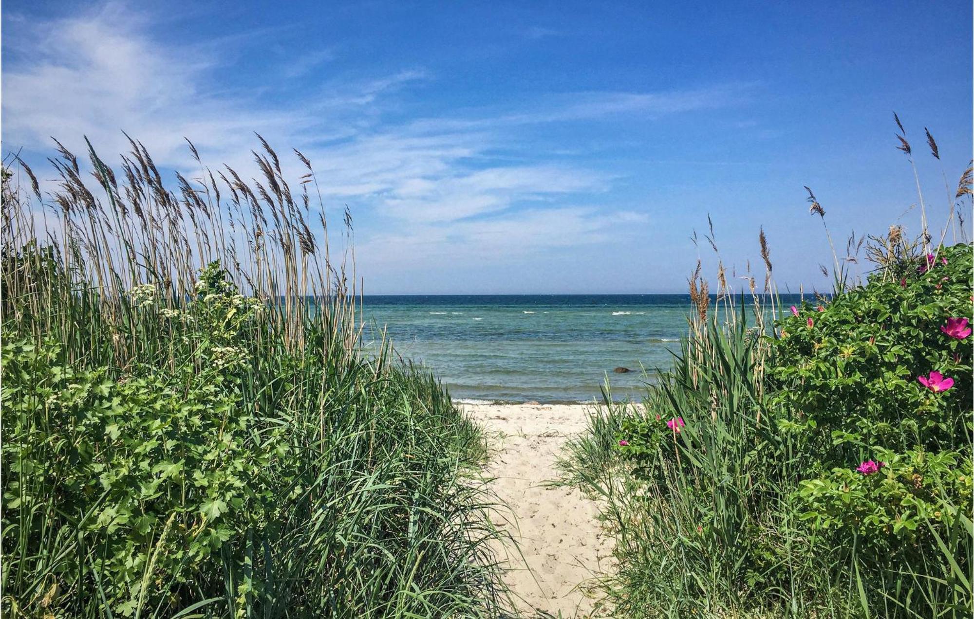 Apartmán Strandhafer Gollwitz Exteriér fotografie